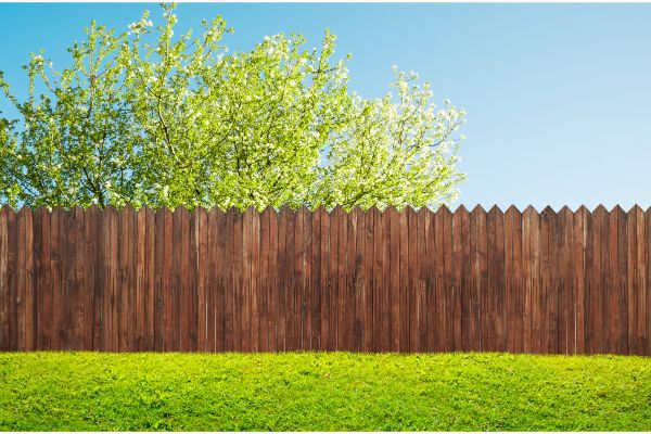 Whose Fence is it Anyway?: Fences on Property Lines in Arizona