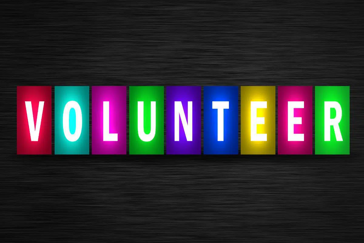 nonprofit lawyer